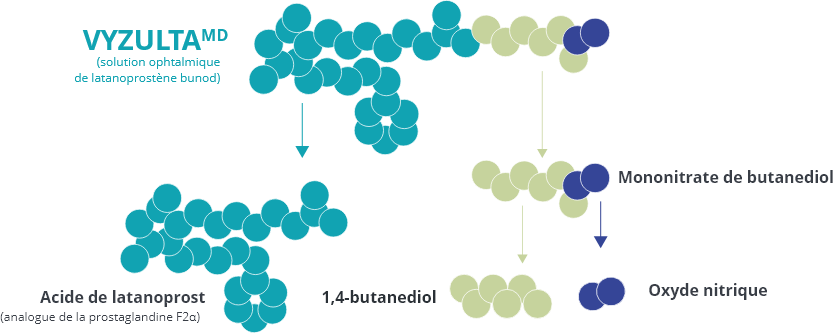 Metabolism Graph